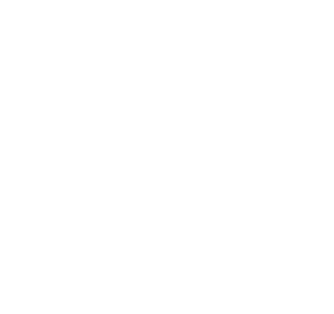 AlSsad Holding Group – مجموعة السد القابضة 